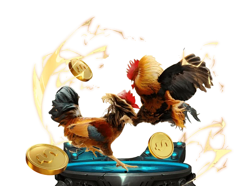 Các chương trình khuyến mãi và ưu đãi độc quyền của Win55